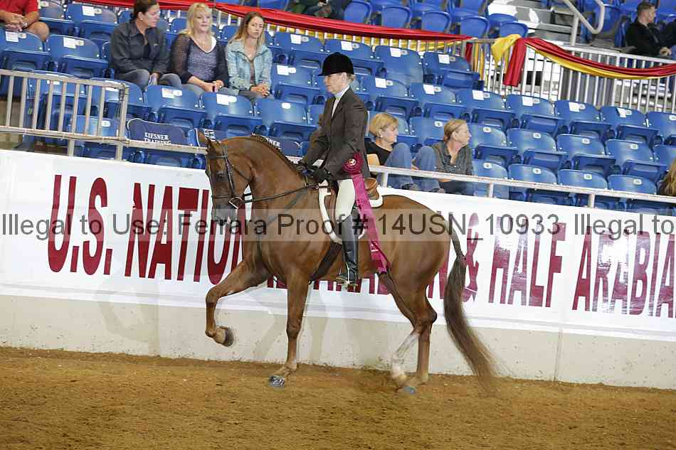 Proof 14usn_10933