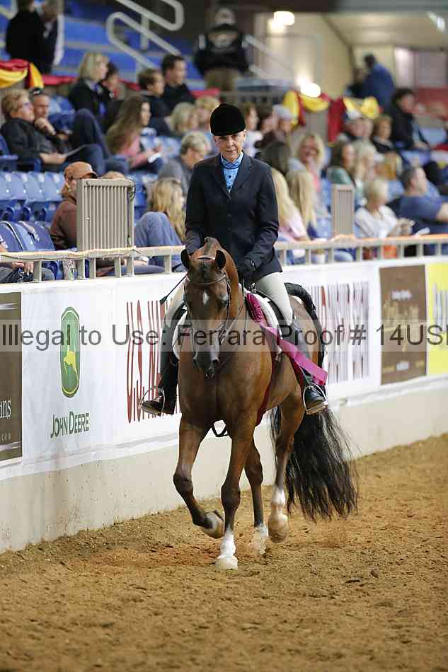 Proof 14usn_10934