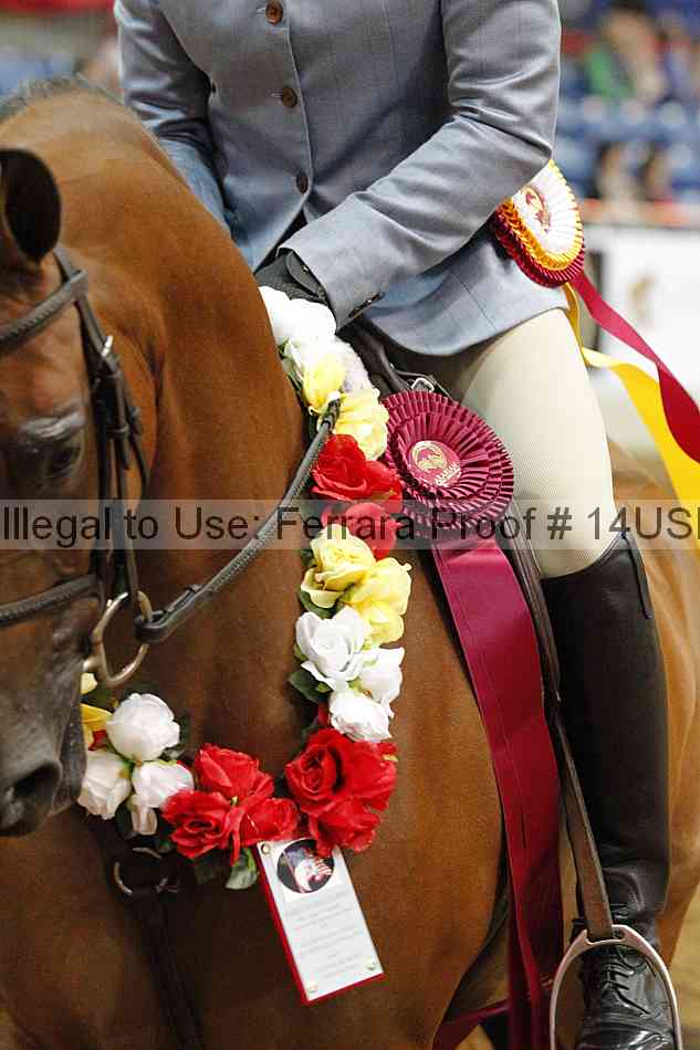Proof 14usn_10954