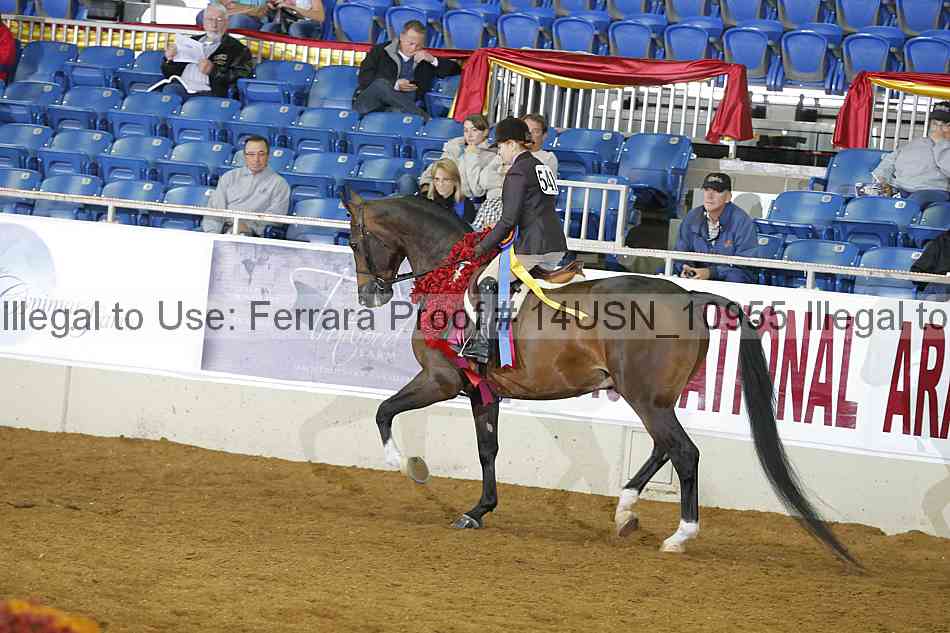 Proof 14usn_10955