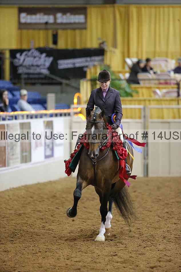 Proof 14usn_10956