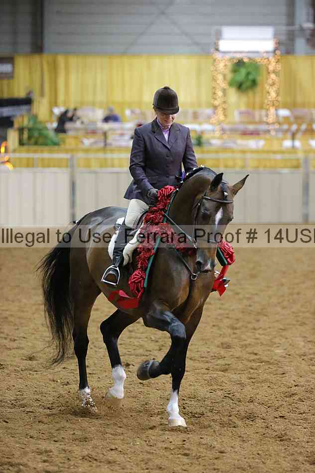 Proof 14usn_10961
