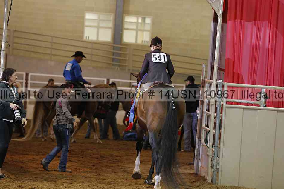 Proof 14usn_10967