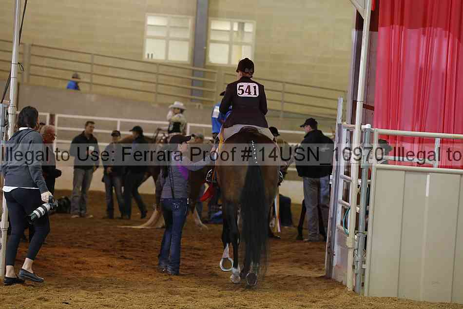 Proof 14usn_10970
