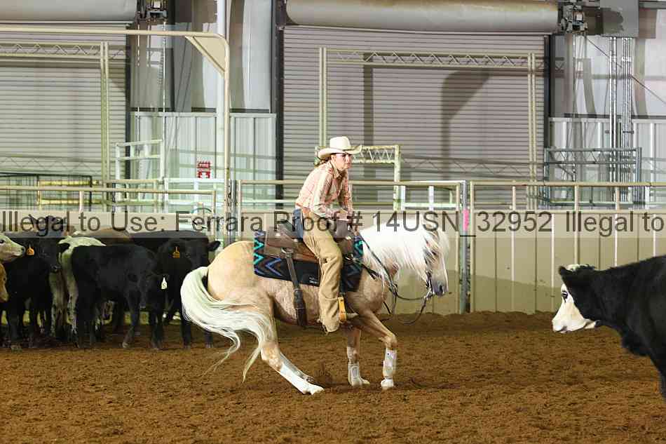 Proof 14usn_32952