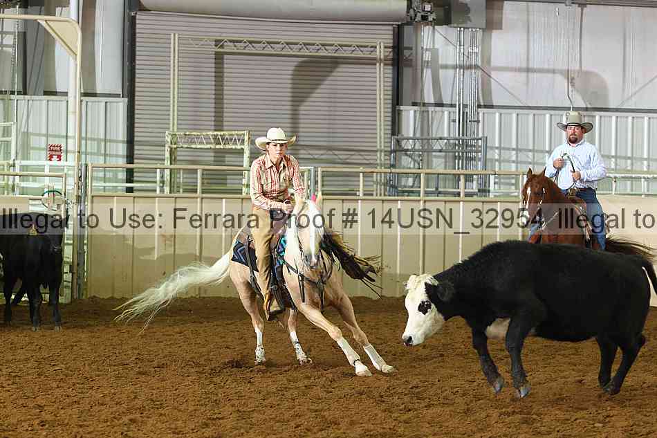 Proof 14usn_32954