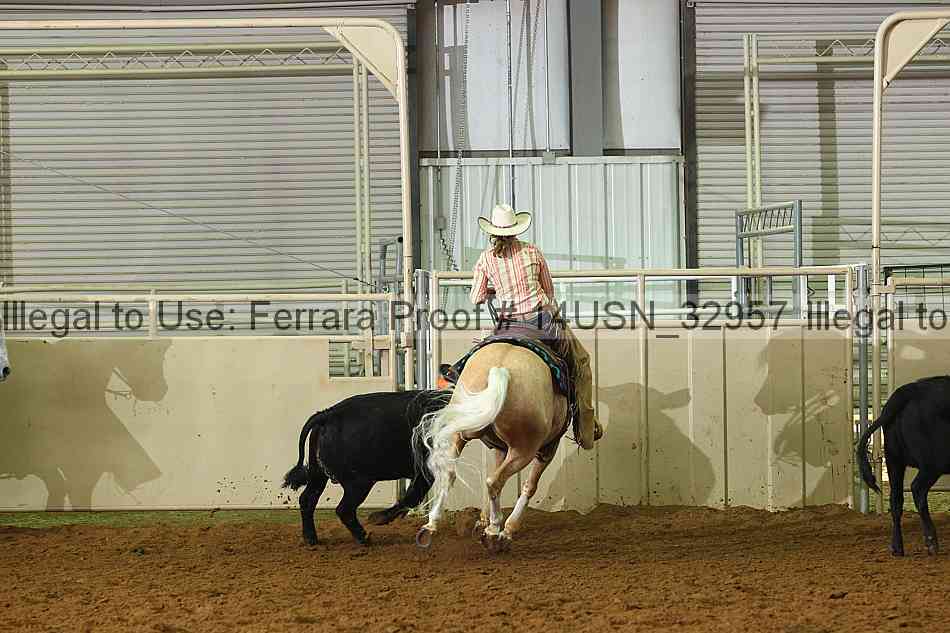 Proof 14usn_32957