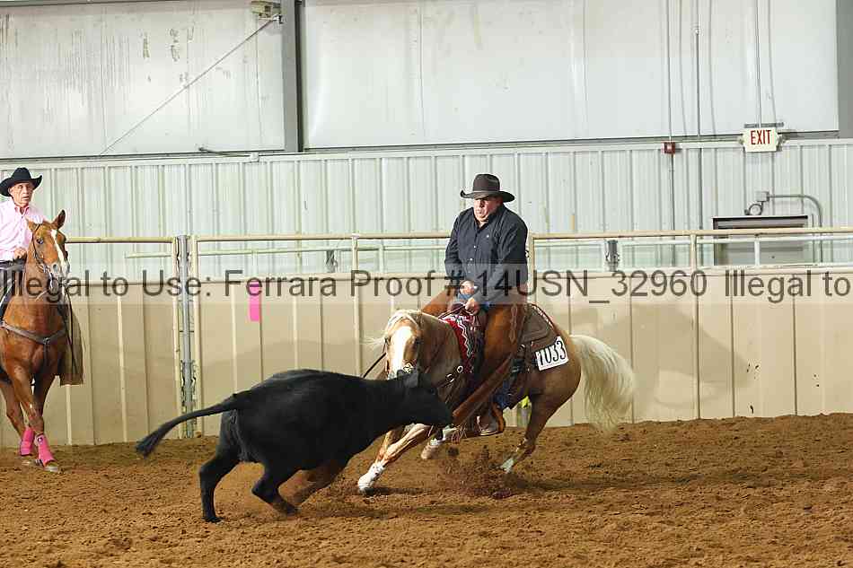 Proof 14usn_32960