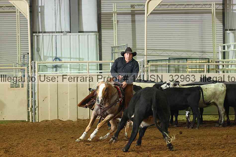 Proof 14usn_32963