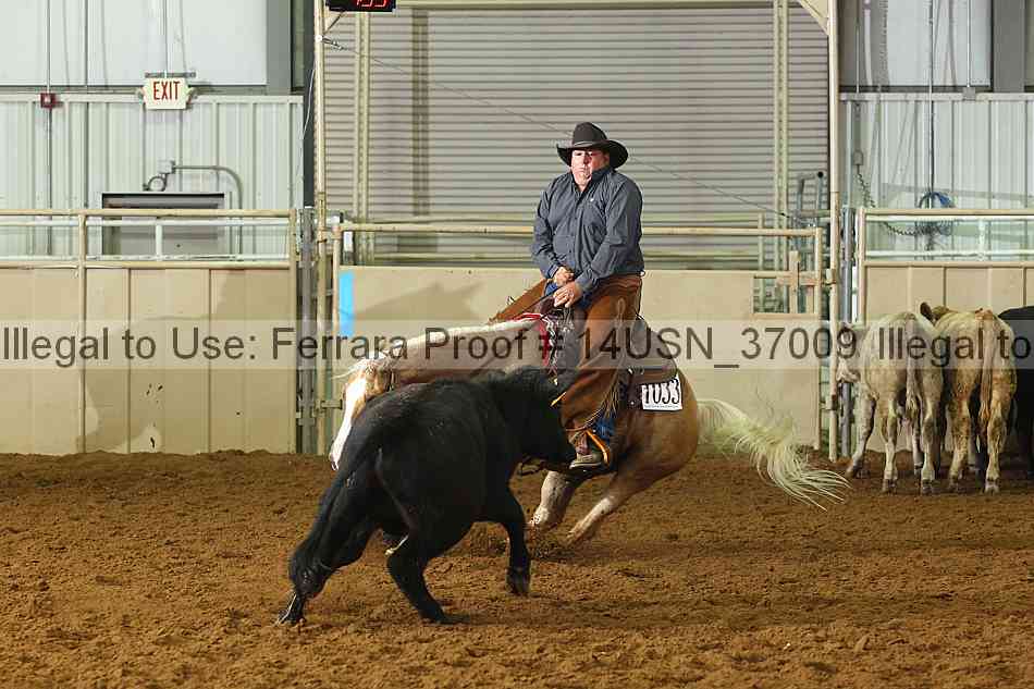 Proof 14usn_37009