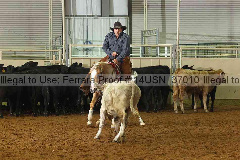 Proof 14usn_37010