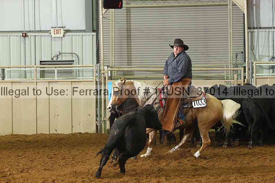 Proof 14usn_37014