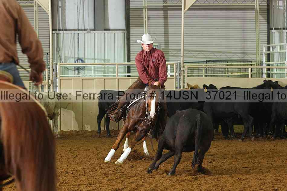 Proof 14usn_37021