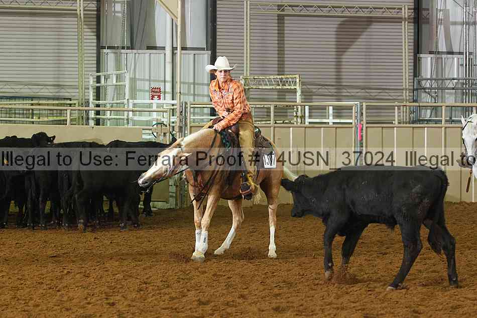 Proof 14usn_37024