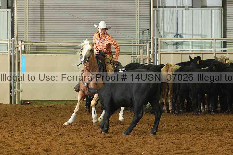 Proof 14usn_37026