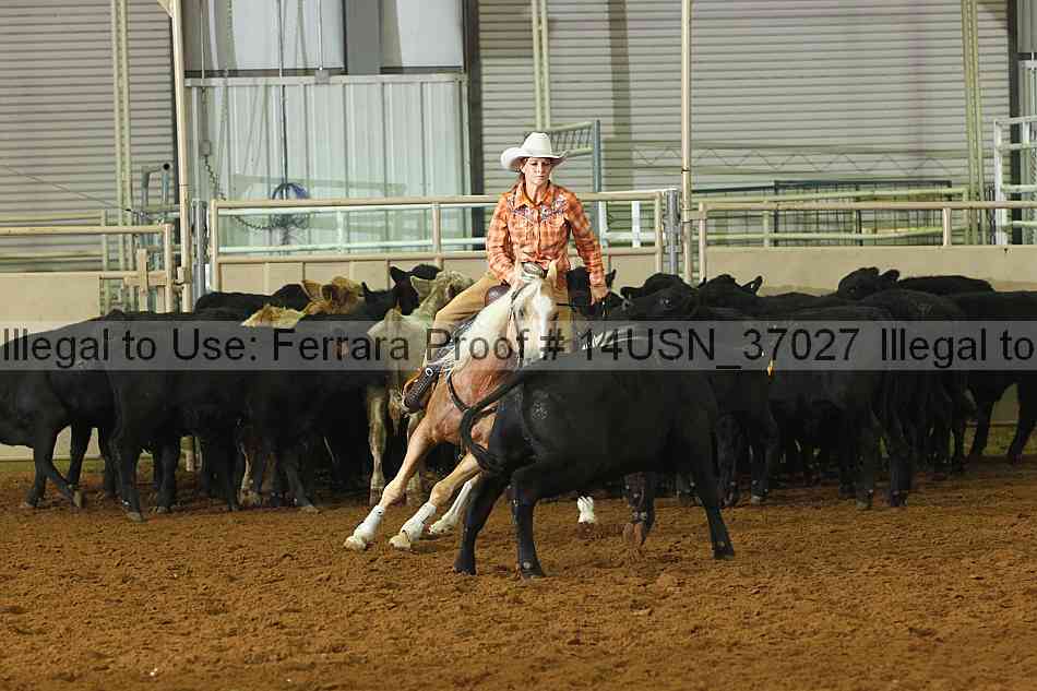 Proof 14usn_37027