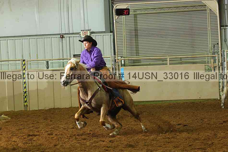 Proof 14usn_33016