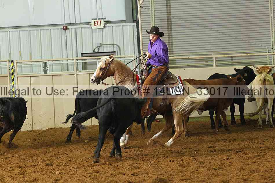 Proof 14usn_33017