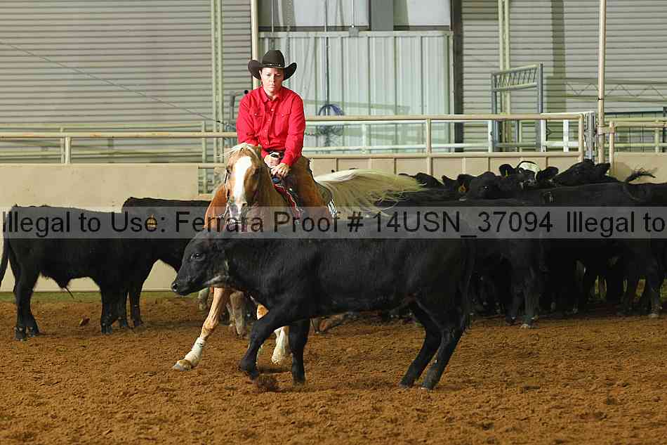 Proof 14usn_37094