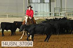 14usn_37094 proof