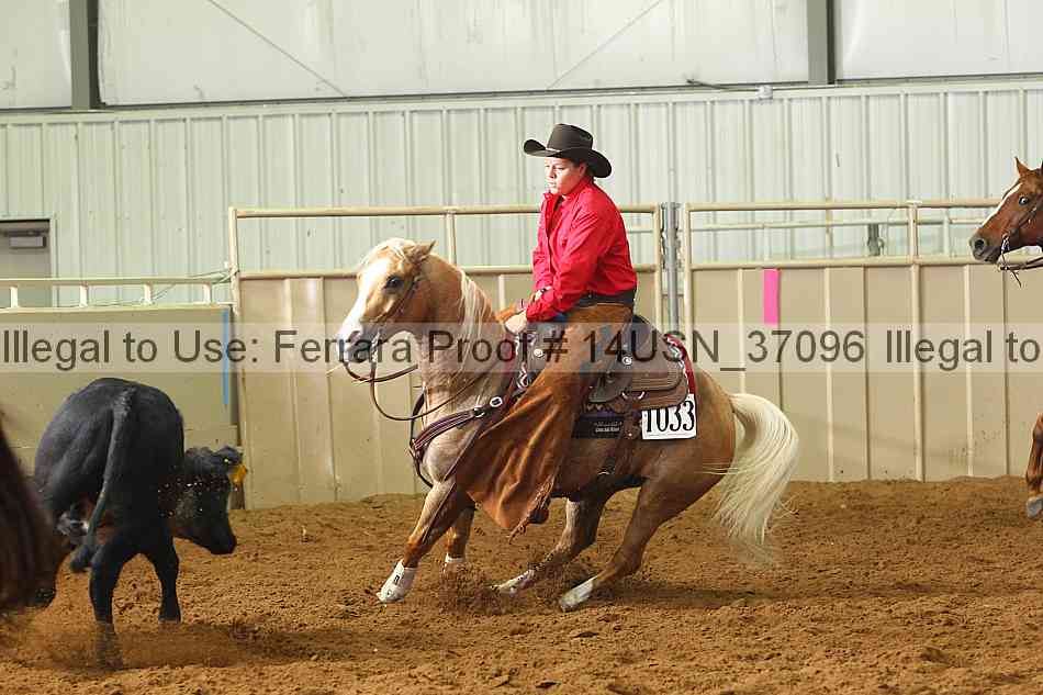 Proof 14usn_37096