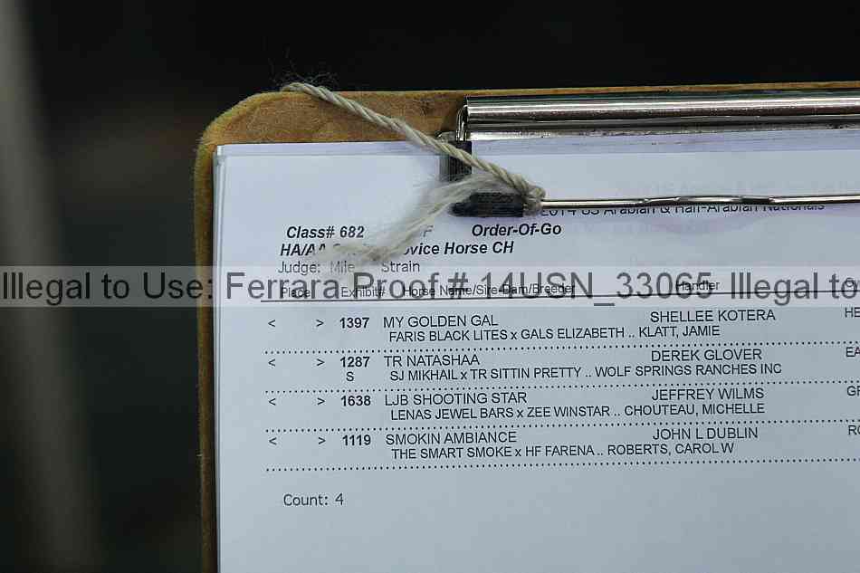 Proof 14usn_33065