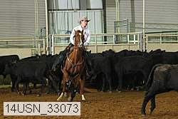 14usn_33073 proof