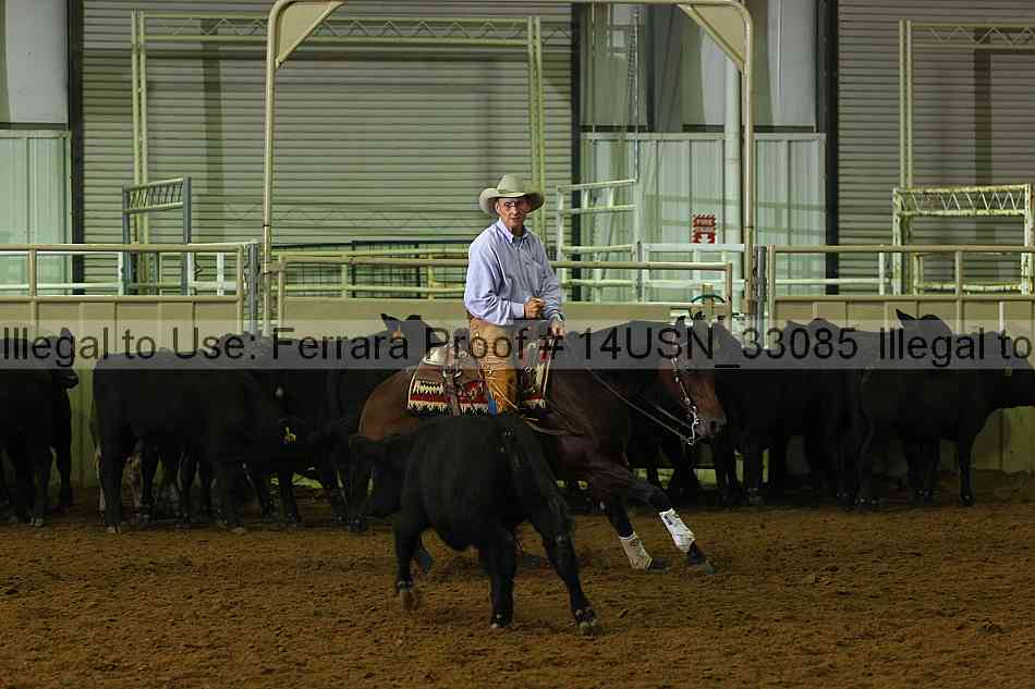 Proof 14usn_33085