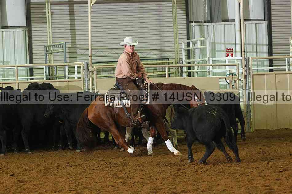 Proof 14usn_33091