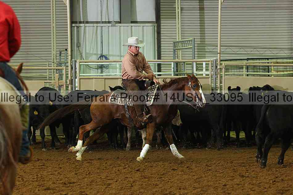 Proof 14usn_33095