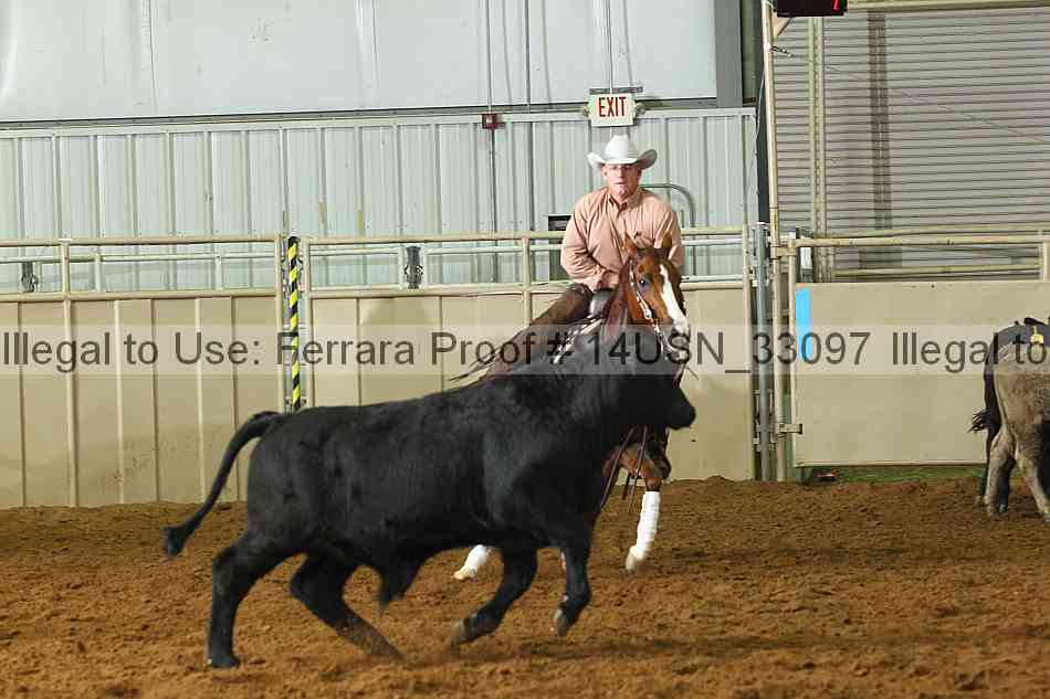Proof 14usn_33097