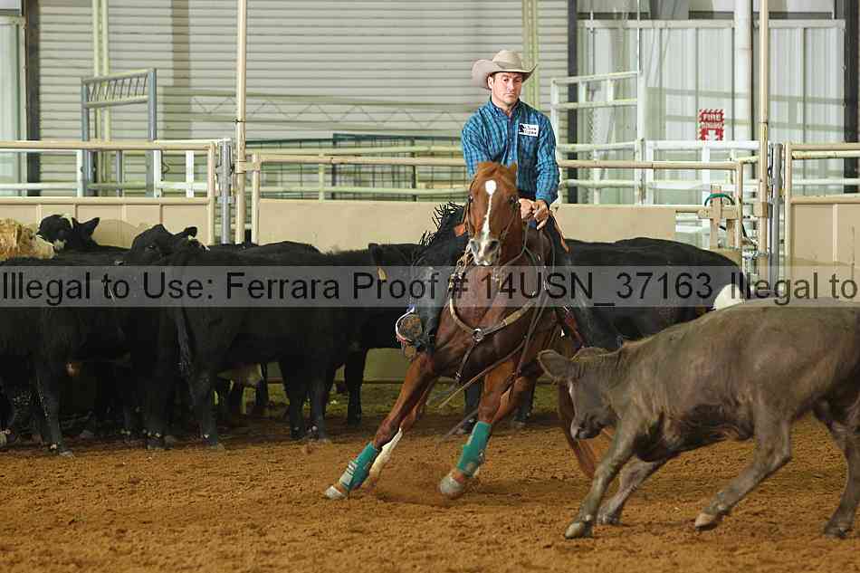 Proof 14usn_37163