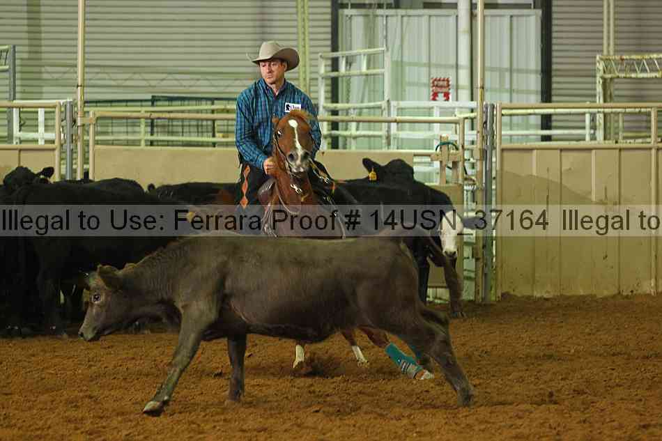 Proof 14usn_37164