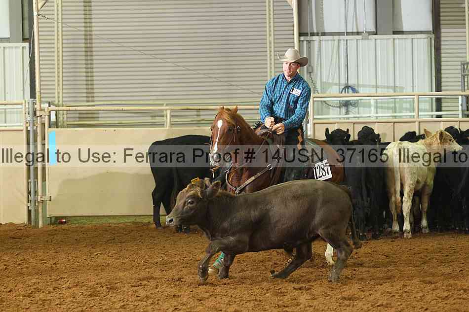 Proof 14usn_37165
