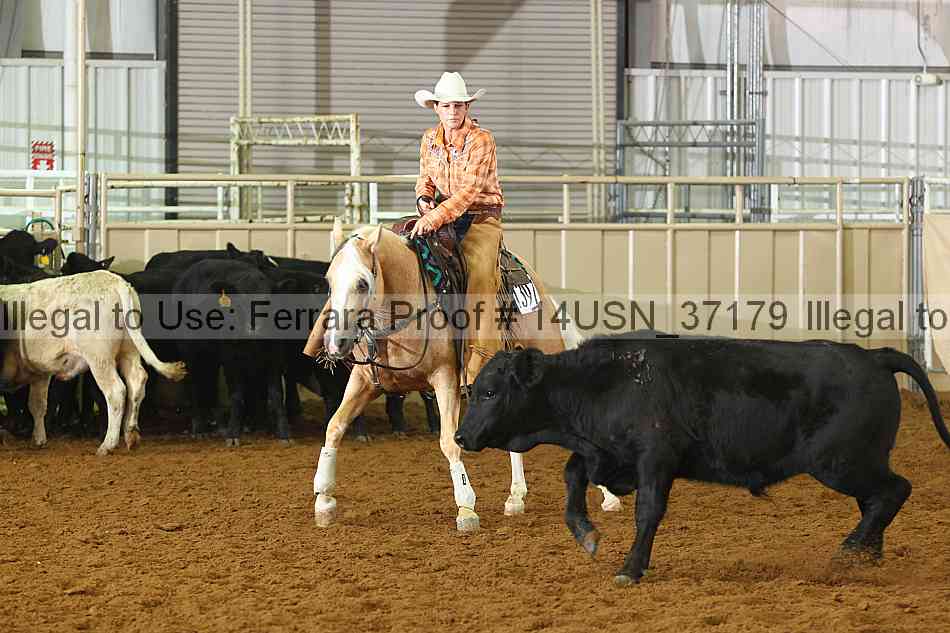Proof 14usn_37179