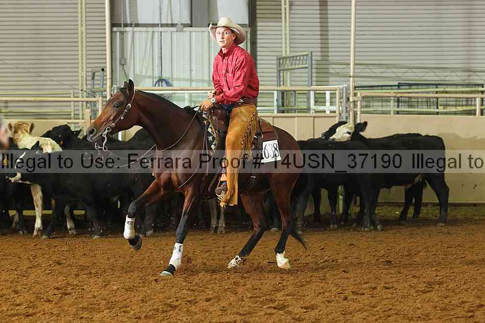 Proof 14usn_37190