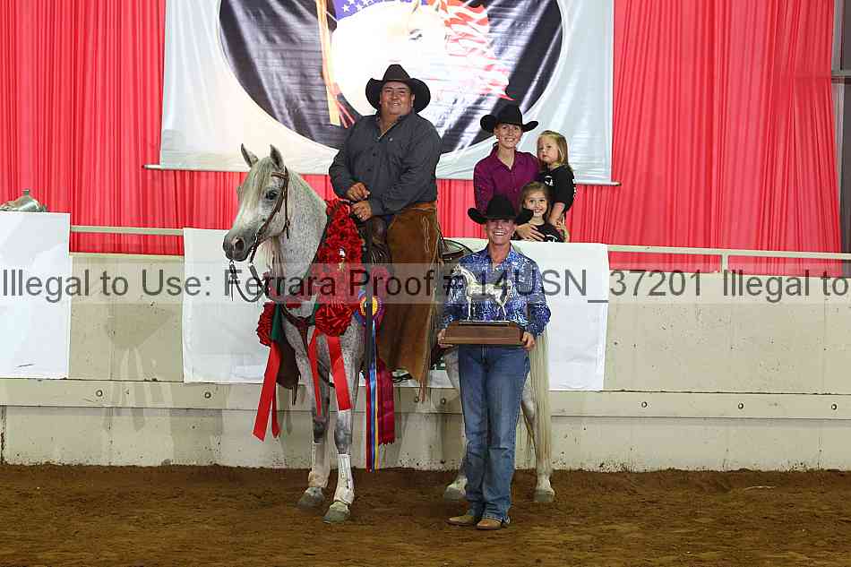 Proof 14usn_37201