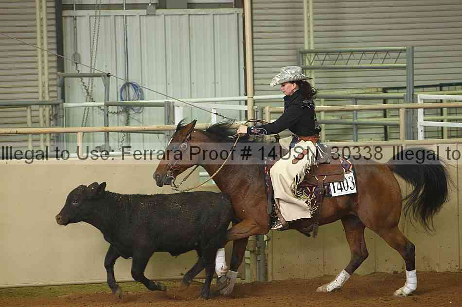 Proof 14usn_30338