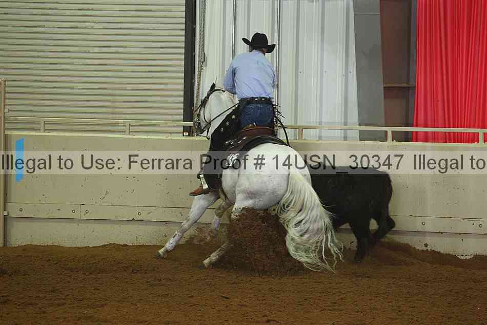 Proof 14usn_30347