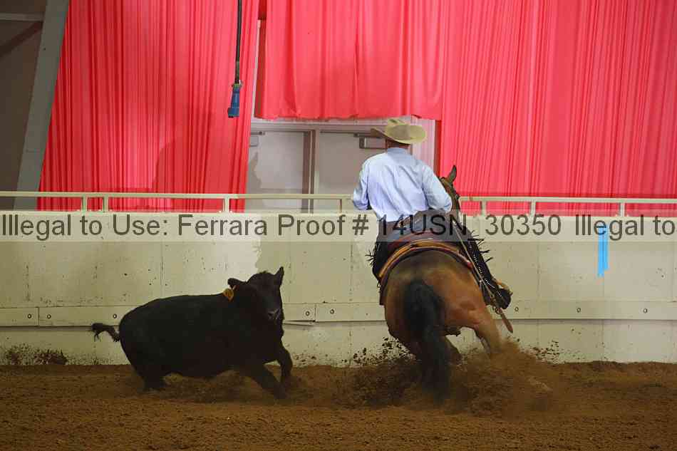 Proof 14usn_30350