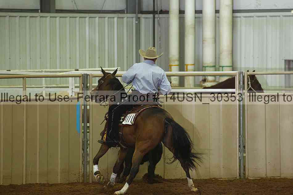 Proof 14usn_30353