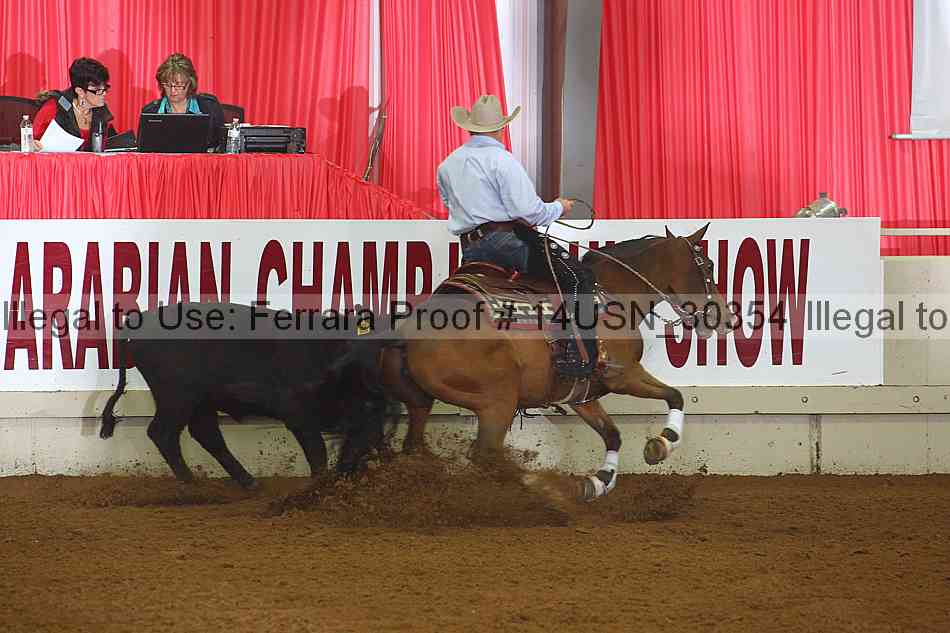 Proof 14usn_30354