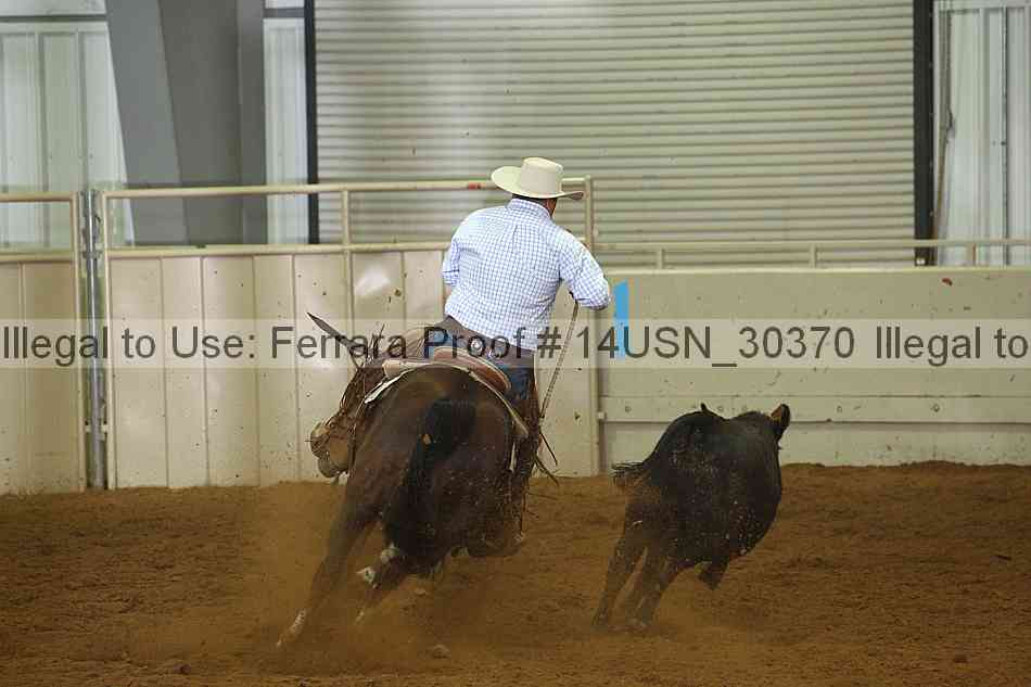 Proof 14usn_30370