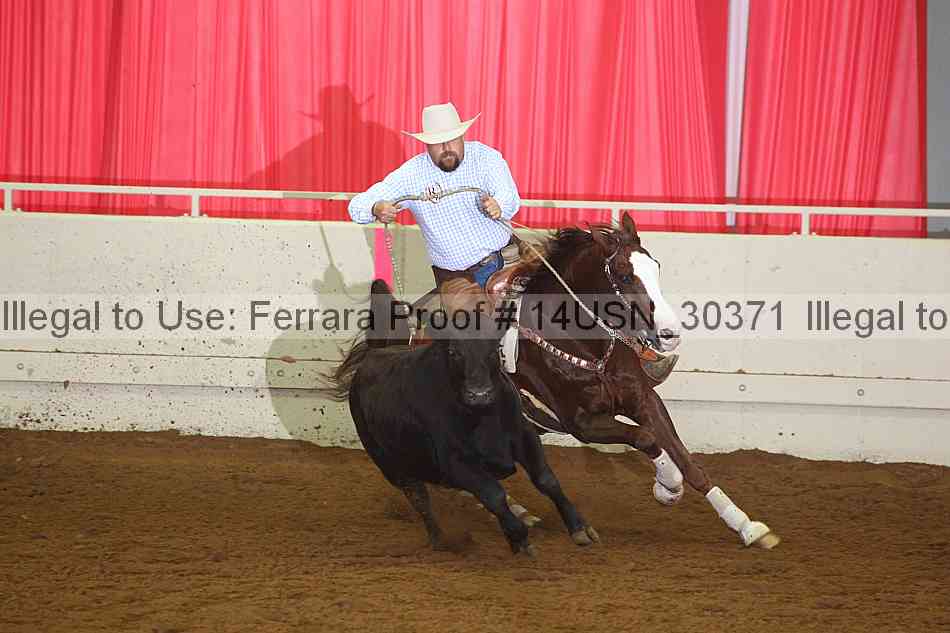 Proof 14usn_30371
