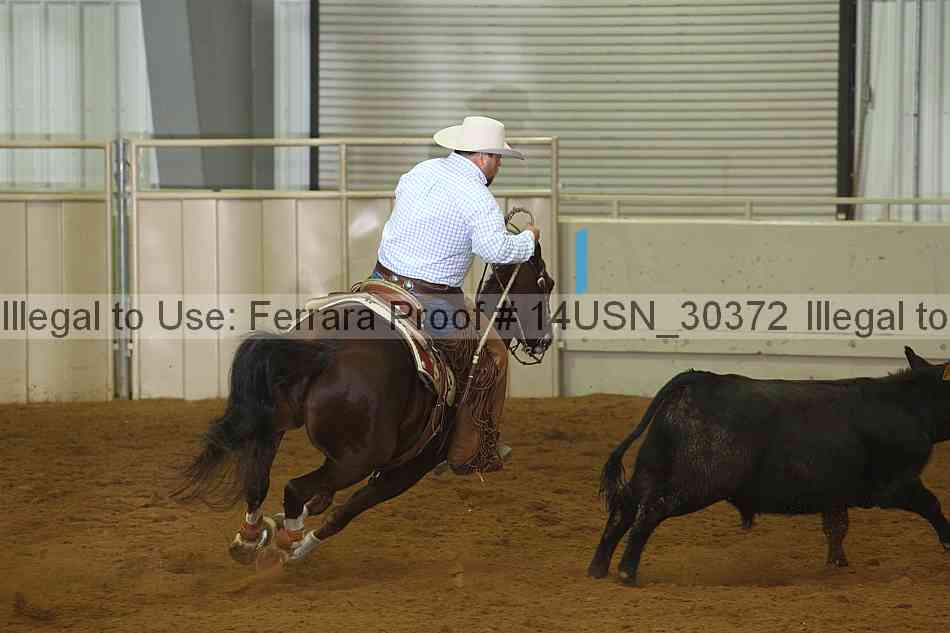 Proof 14usn_30372