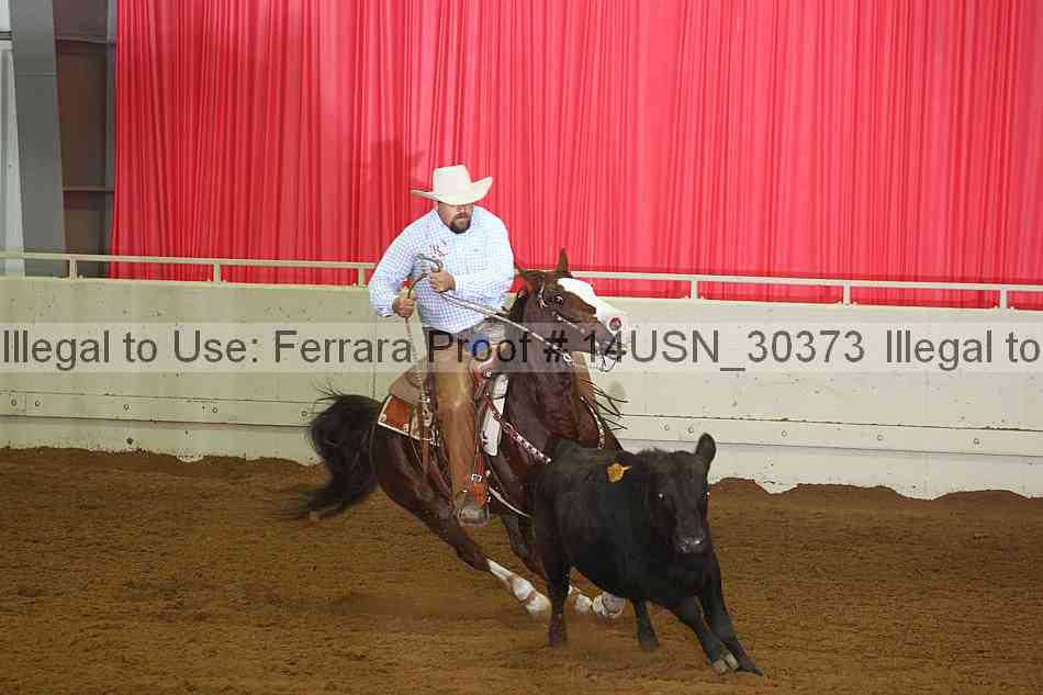 Proof 14usn_30373