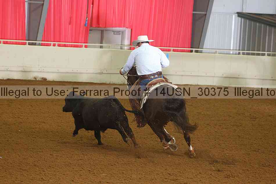 Proof 14usn_30375