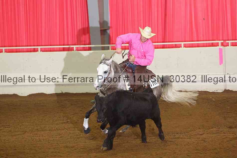 Proof 14usn_30382