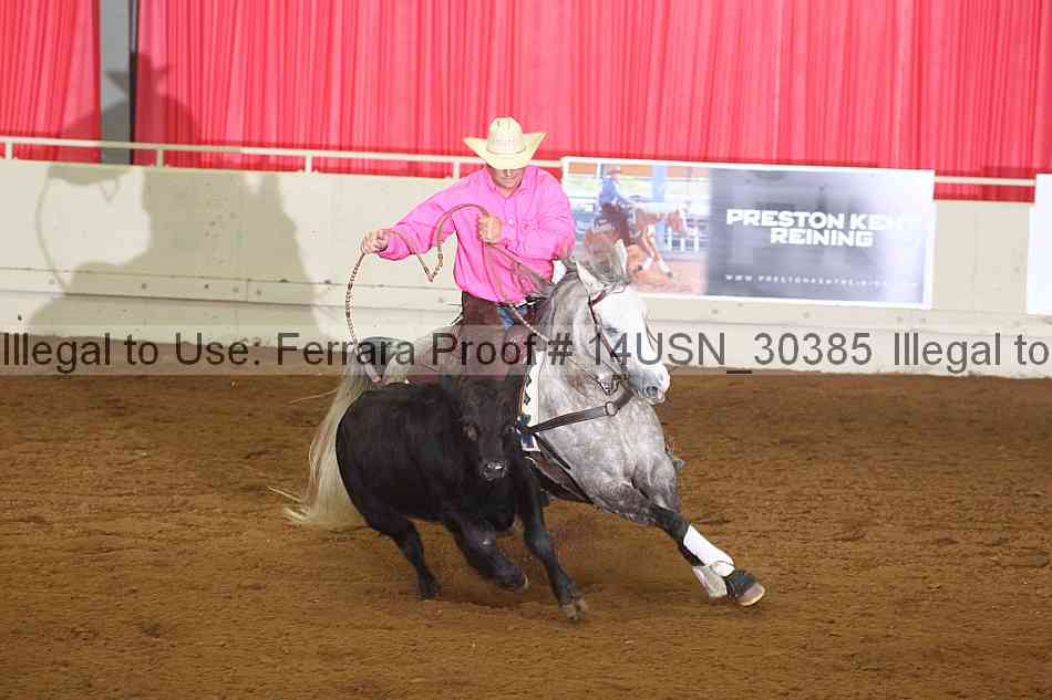 Proof 14usn_30385