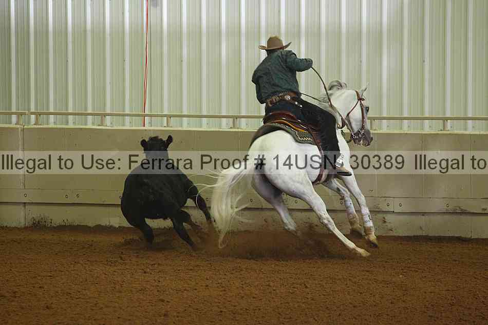 Proof 14usn_30389